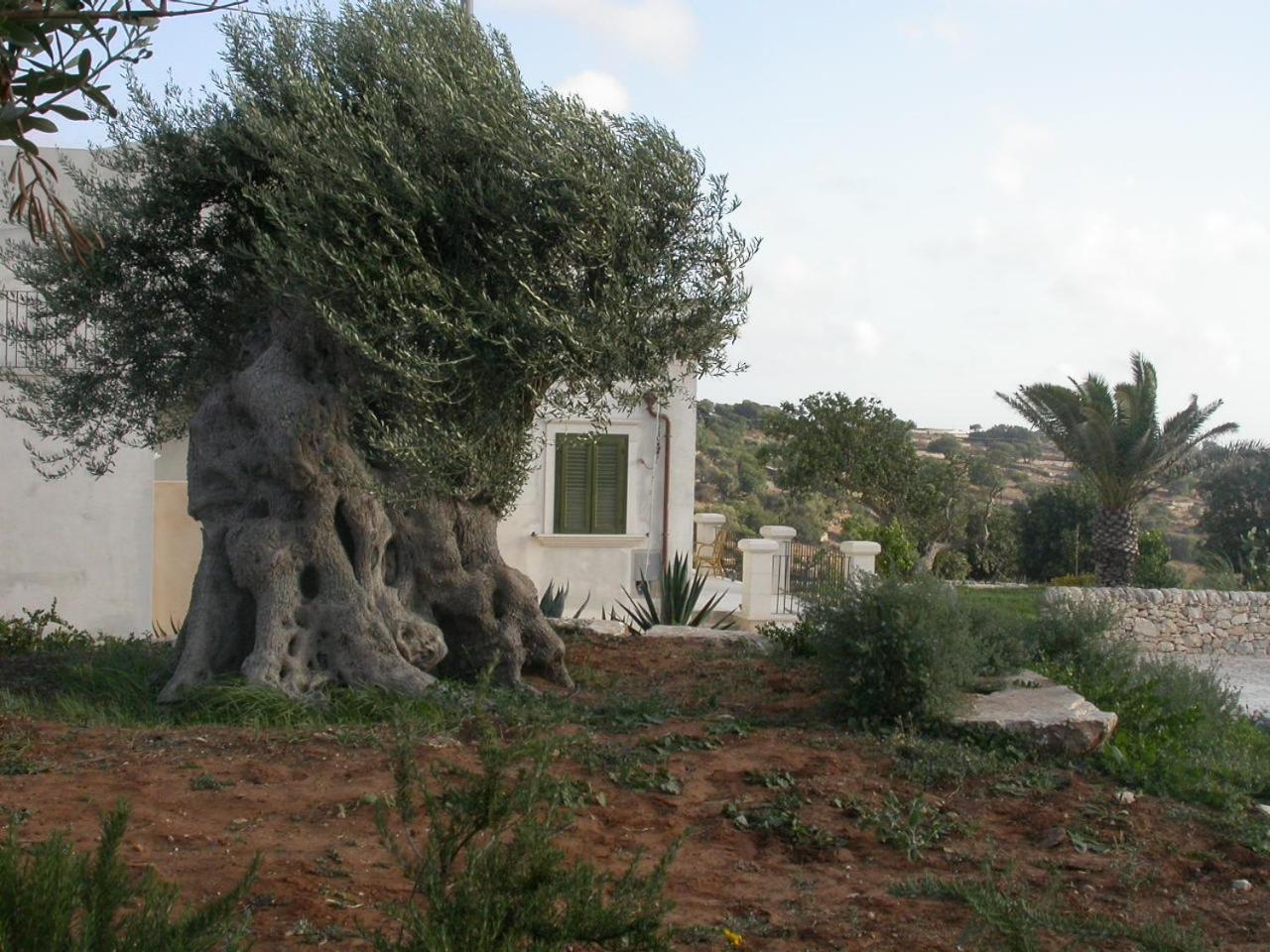Relais Parco Cavalonga Ξενοδοχείο Donnafugata Εξωτερικό φωτογραφία